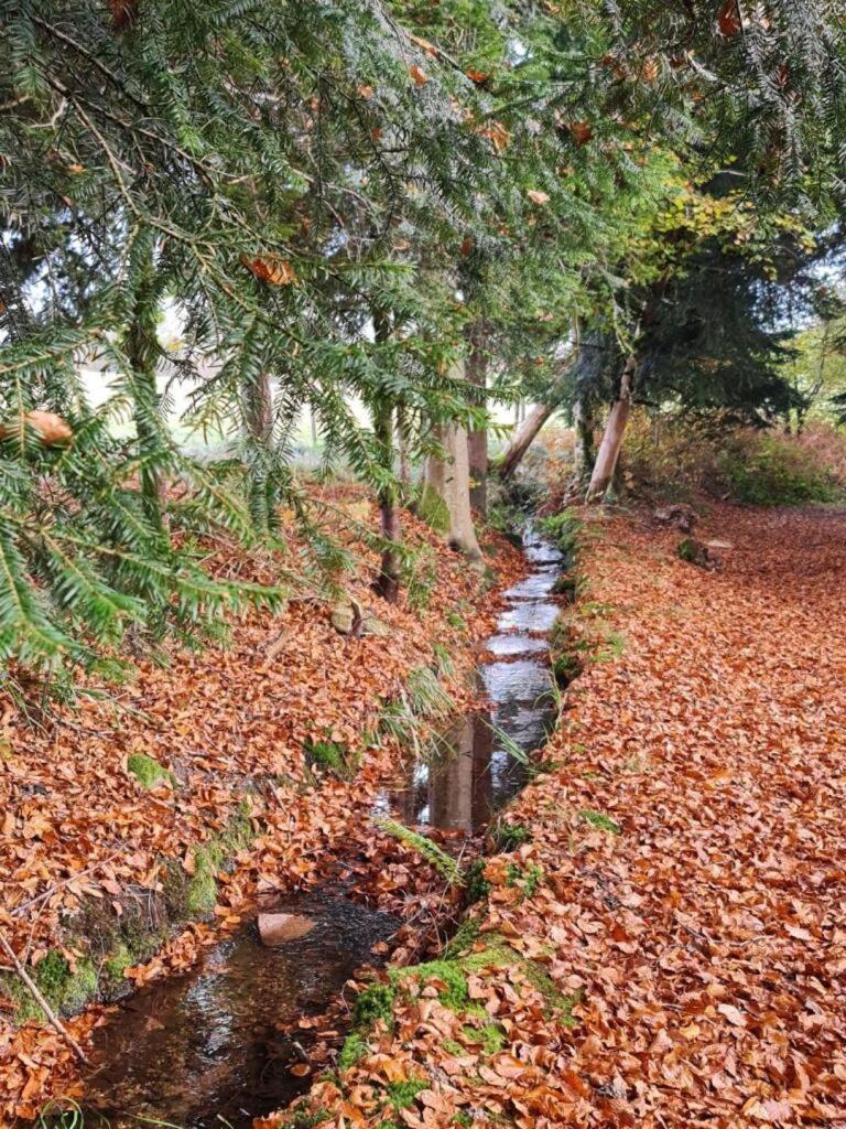 Pied Des Milles Etang - Les Capucins Acomodação com café da manhã Faucogney-et-la-Mer Exterior foto